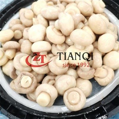 پی این ایس نے ڈھول میں 50 کلو گرام چیمپینن مشروم برائنڈ کیا