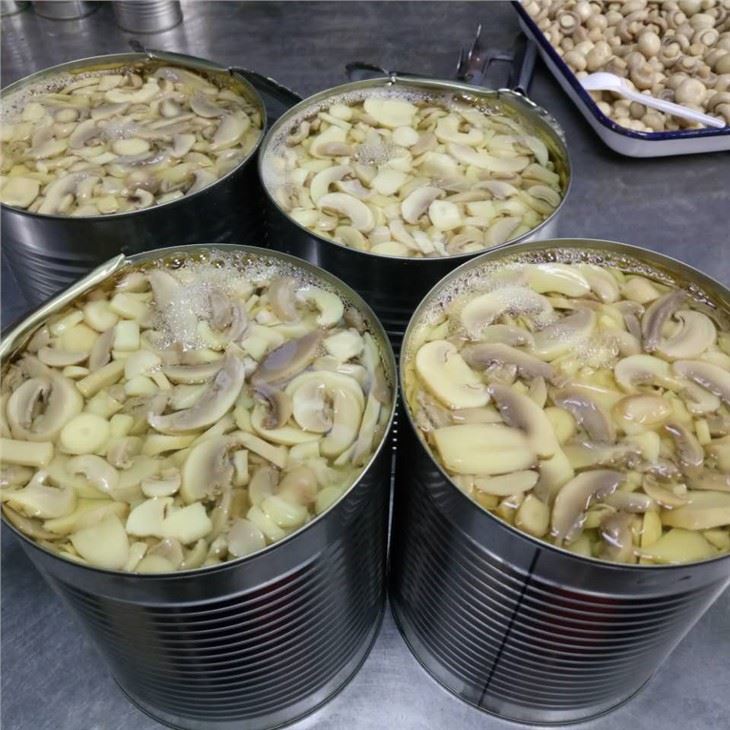 400g Canned Whole Mushroom From China 400g Canned Whole Mushroom From China