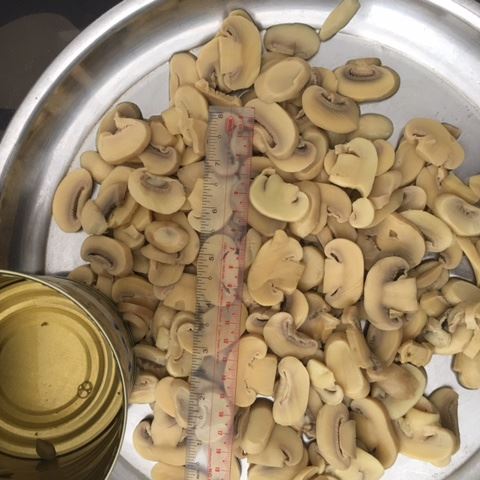 Good Quality Canned Mushrooms Factory