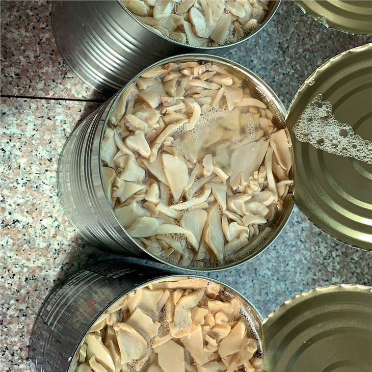 Good Quality Canned Mushrooms Factory